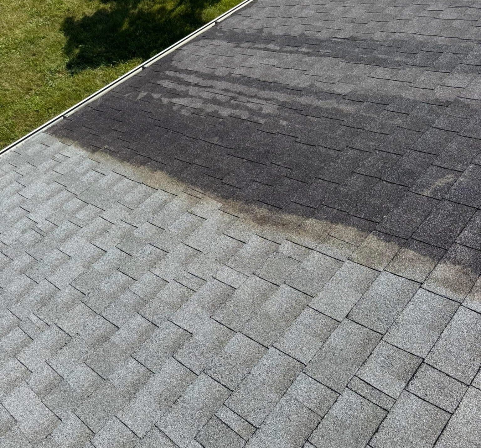 Shingle roof halfway through cleaning